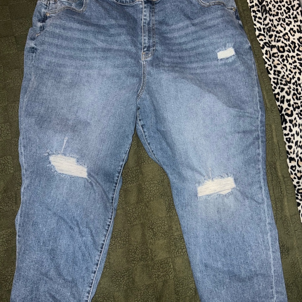Eloquii Light Blue Denim Jeans